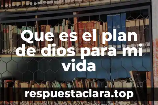 Que es un plan de mercadotecnia y sus pasos 3 Que es el plan de dios para mi vida