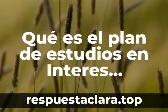Qué es el plan de estudios en Interes Consuta