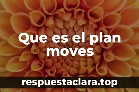 Que es el plan moves