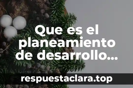 Que es el planeamiento de desarrollo urbano