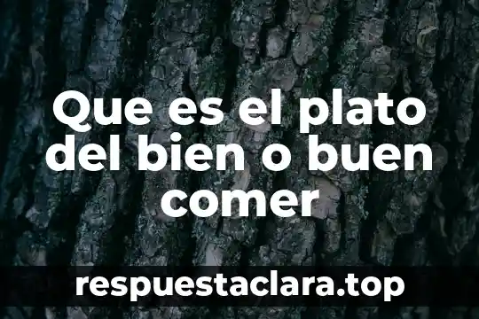 Que es la jícama plato del bien comer 8 Que es el plato del bien o buen comer
