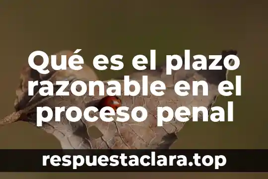 Que es la calidad personal en derecho penal 5 Qué es el plazo razonable en el proceso penal