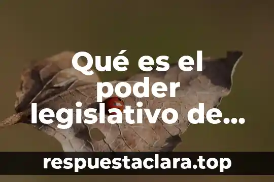 Qué es el poder legislativo de México