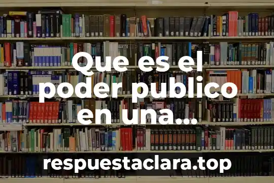 Que es el poder publico en una democracia