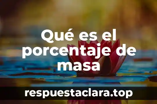 Qué es el porcentaje de masa