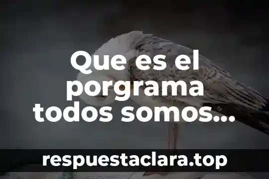 Que es lo mas vergonzoso compran en Mexico 8 Que es el porgrama todos somos mexico