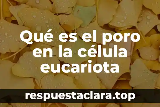 Qué es el poro en la célula eucariota