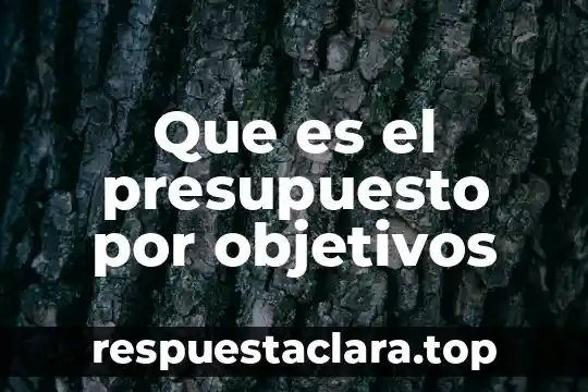 Que es el presupuesto por objetivos