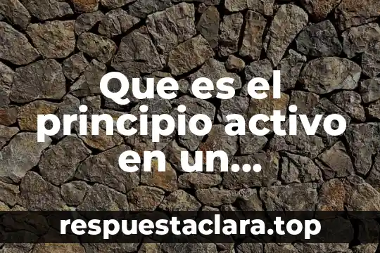 Que es el principio activo en un medicamento