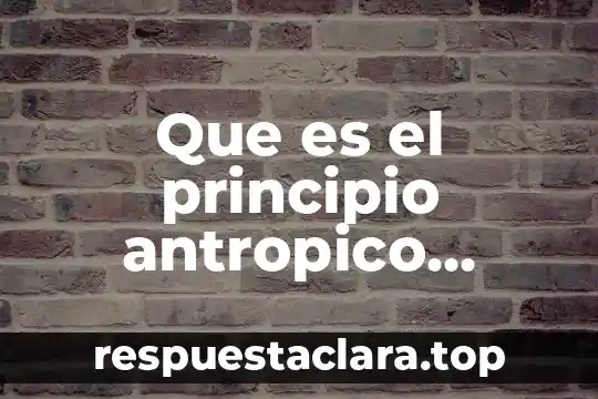 Que es el principio antropico filosofia
