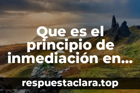 Por que es importante el principio de le chatelier 3 Que es el principio de inmediación en mexico