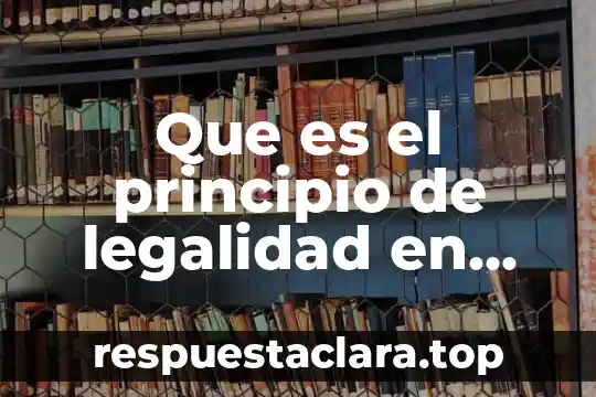 Que es el principio de legalidad en materia penal