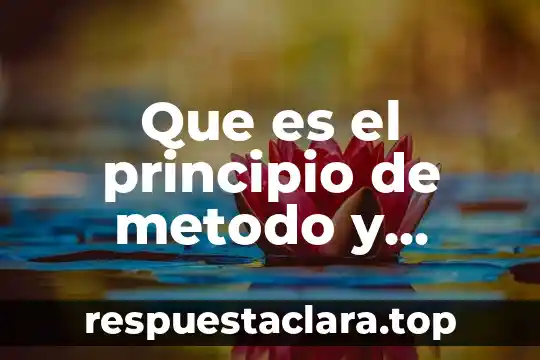Que es el principio de metodo y orden