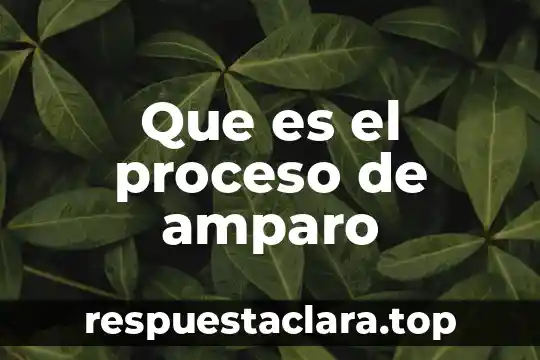 Que es la firma electronica amparo 8 Que es el proceso de amparo