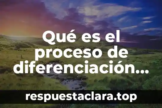 Qué es el proceso de diferenciación celular