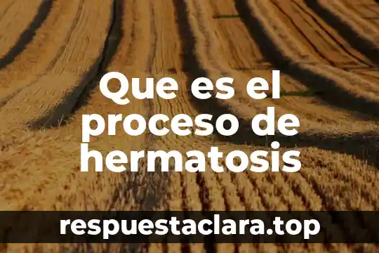 Que es proceso de digesti贸n 8 Que es el proceso de hermatosis