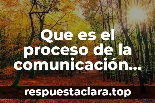 Que es el proceso de la comunicación lasweell