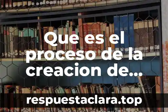 Que es la norma constitucional y proceso de creación 4 Que es el proceso de la creacion de modelos