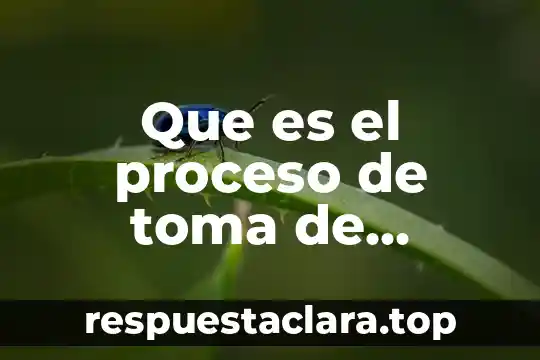 Que es el proceso de toma de decisiones administracion
