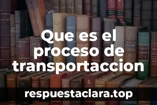 Que es el proceso de transportaccion