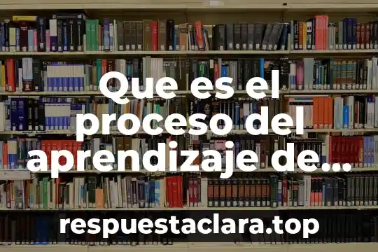 Que es el proceso del aprendizaje de un niño