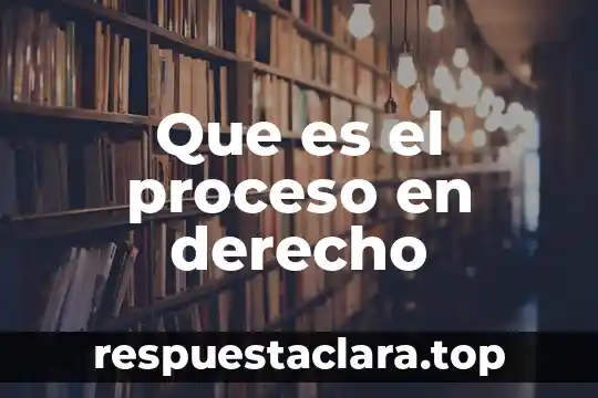 Que es el proceso en derecho