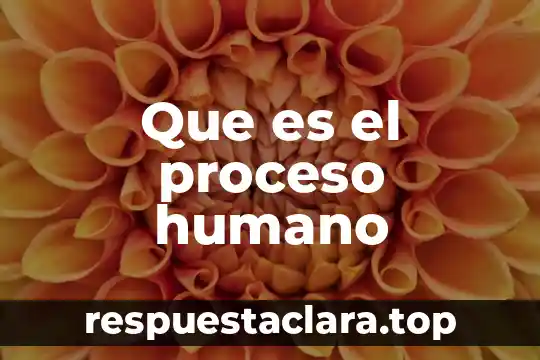Que es el proceso humano