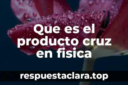 Que es el producto cruz en fisica