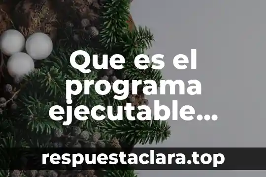 Que es el programa ejecutable programacion