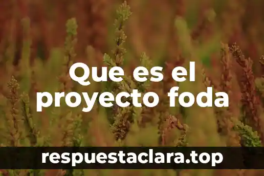 Que es el proyecto foda