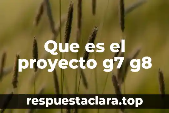 Que es el proyecto g7 g8