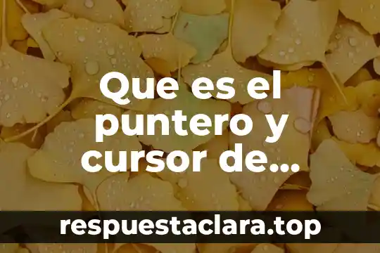 Que es helvetica en word 4 Que es el puntero y cursor de intersección de word