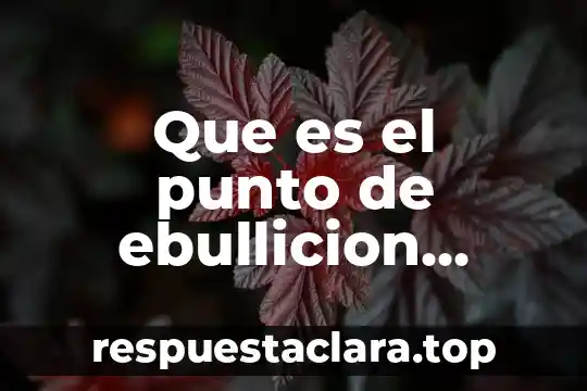 Que es el punto de ebullicion ejemplos
