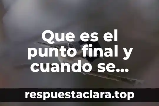 Que es el punto final y cuando se utiliza