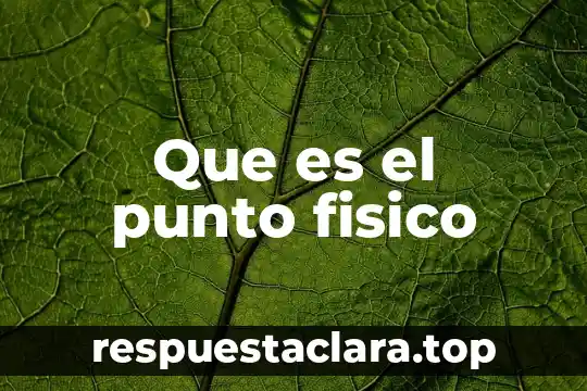 Que es el punto fisico
