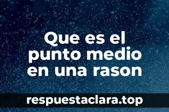 Que es el punto medio en una rason