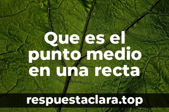 Que es el punto medio en una recta