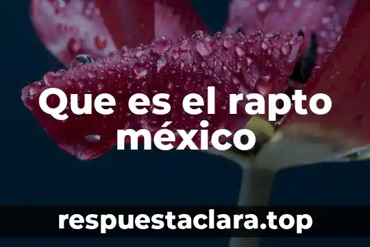 Que es el porgrama todos somos mexico 4 Que es el rapto méxico