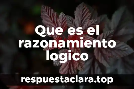 Que es el razonamiento logico