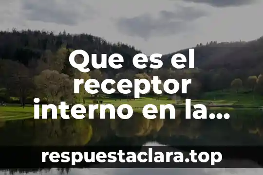 Que es un receptor en farmacologia ejemplos 5 Que es el receptor interno en la organizacion