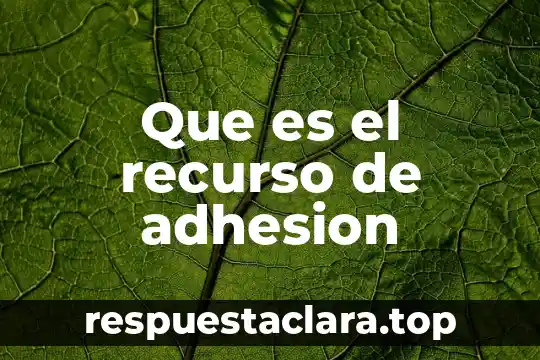 Que es el recurso de adhesion