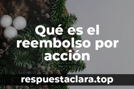 Qué es el reembolso por acción