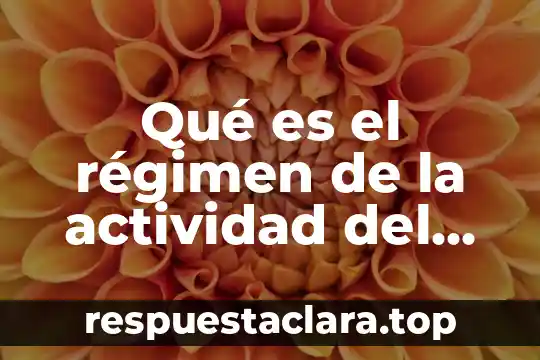 Qué es el régimen de la actividad del estado
