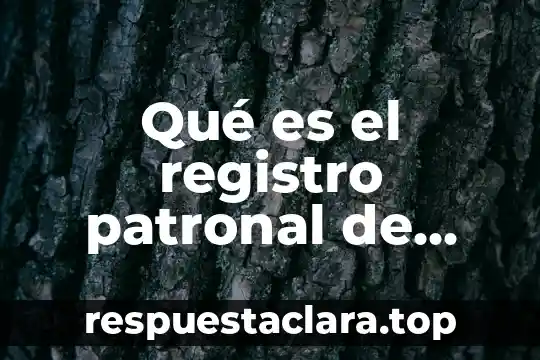 Qué es el registro patronal de empleado