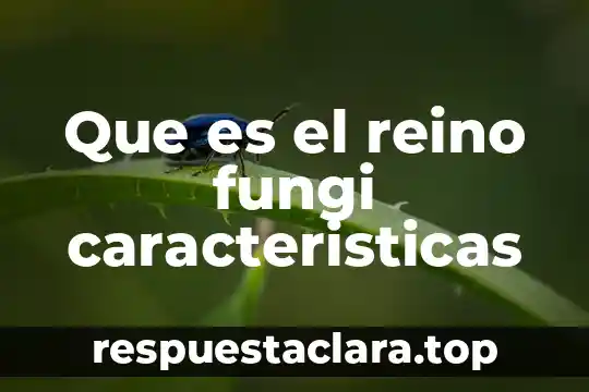 Que es el reino fungi caracteristicas