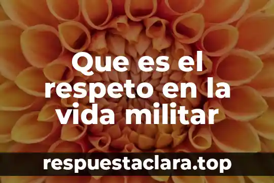 Que es respeto en enfermeria 5 Que es el respeto en la vida militar