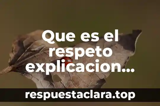 Que es respeto en enfermeria 3 Que es el respeto explicacion para niños de preescolar