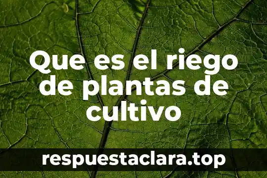 Que es el riego de plantas de cultivo