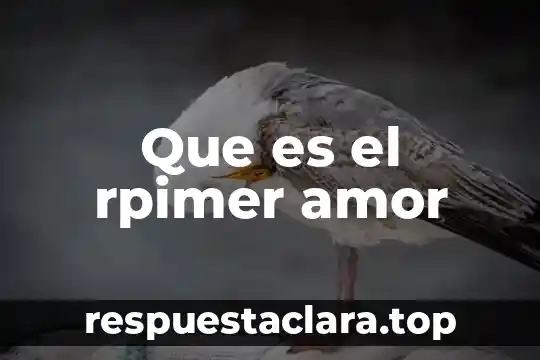 Que es el rpimer amor