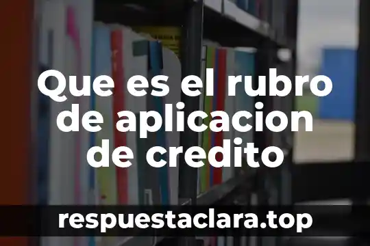 Que es el rubro de aplicacion de credito